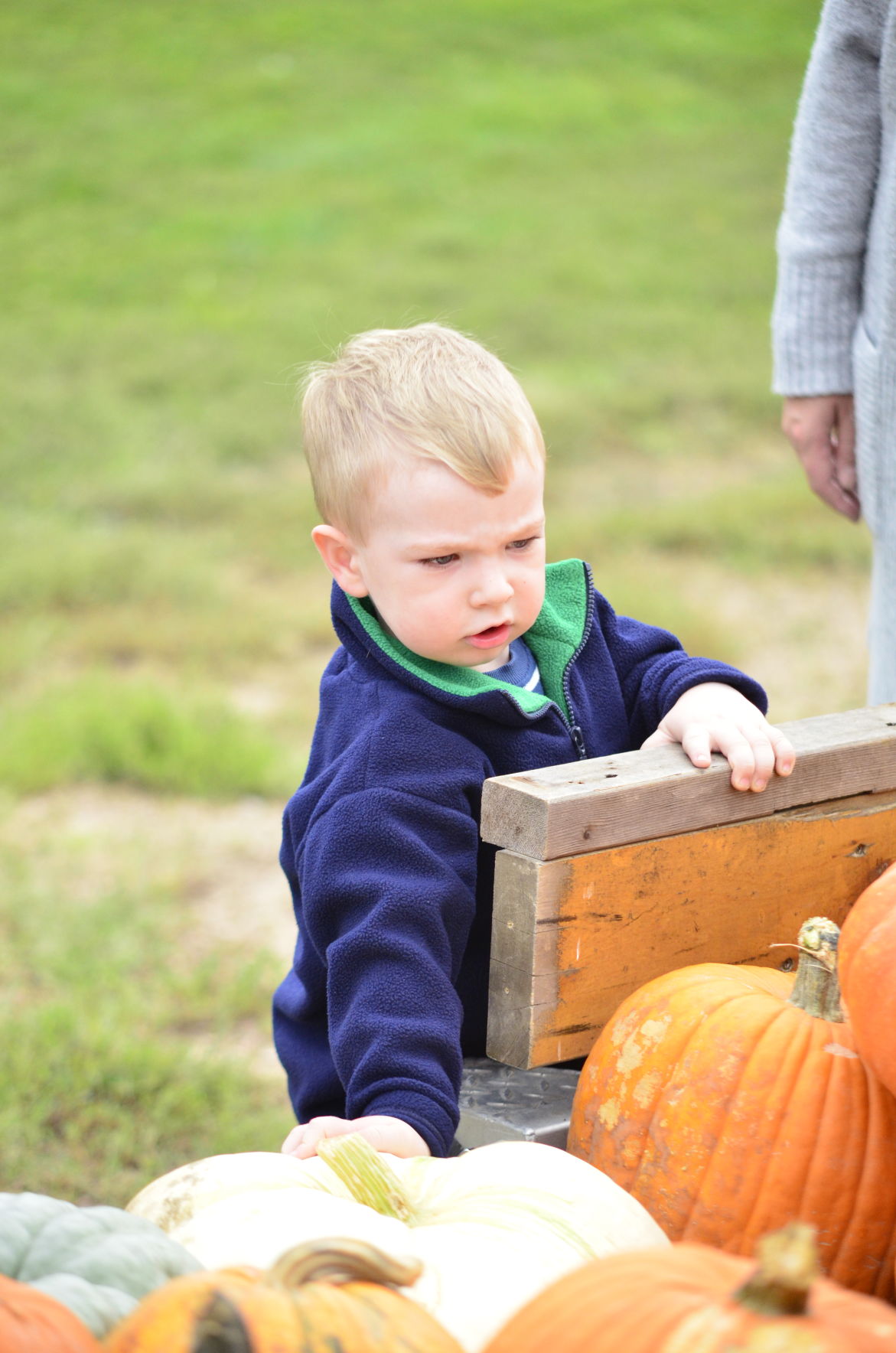 10-6-19 Prairie Loft HarvestFest (1).JPG